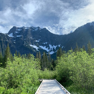 Seeking Room/Roommate Main Photo