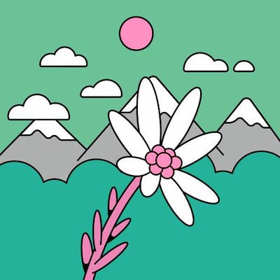 37 year old female looking for Playa Vista room Main Photo