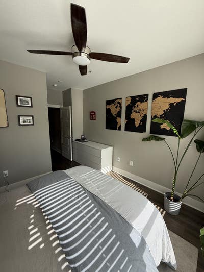 Room for Rent in Clean, Modern Apartment Main Photo