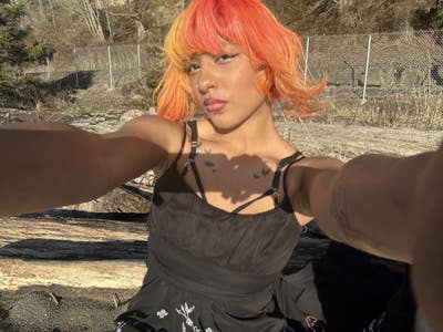 Room wanted in Snohomish, WA Main Photo