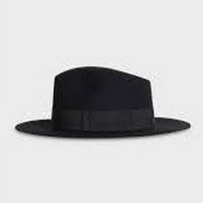 Room wanted in Asheville, NC Main Photo