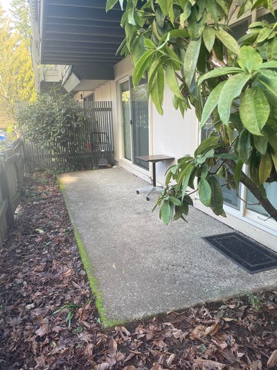 Serene Garden_Level Living in the Heart of Bellevu Main Photo