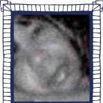 Room wanted in District Heights, MD Main Photo