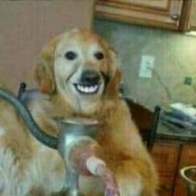 Room wanted in Pound, VA Main Photo