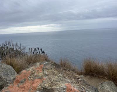 Room wanted in Oakland, CA Main Photo