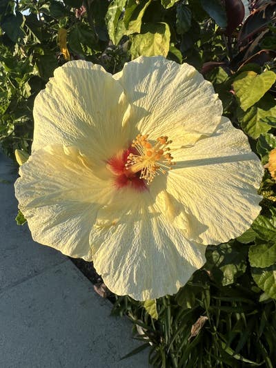 Room wanted in Oceanside, CA Main Photo