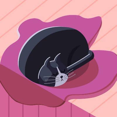 Room wanted in 1630 n. 36th st phoenix aZ Main Photo