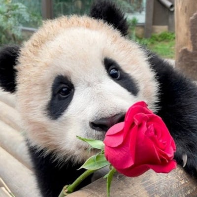 Female looking for a room in Torrance June 1 Main Photo