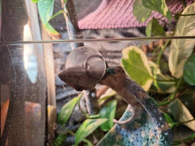 Room wanted in Hayward, CA Main Photo