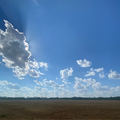 Responsible male looking for Canoga Park room Main Photo