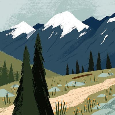 Room wanted in Orlando Main Photo