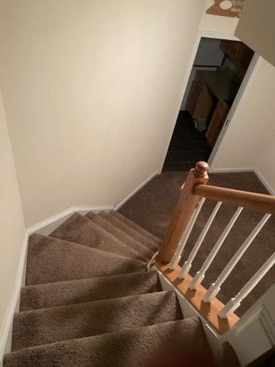 1100 Square Feet Basement for rent Main Photo