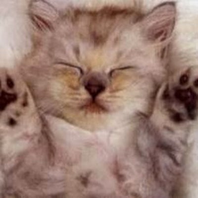 Room wanted in Wildwood, NJ Main Photo