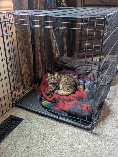 Room wanted in NYC Main Photo