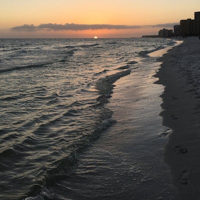 23 year old female looking for LA room June 1 Main Photo