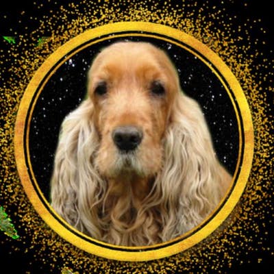 Room wanted in San Diego Main Photo