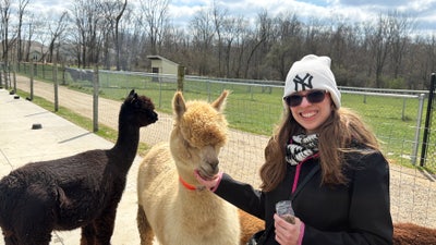 Looking for summer housing/sublet Main Photo