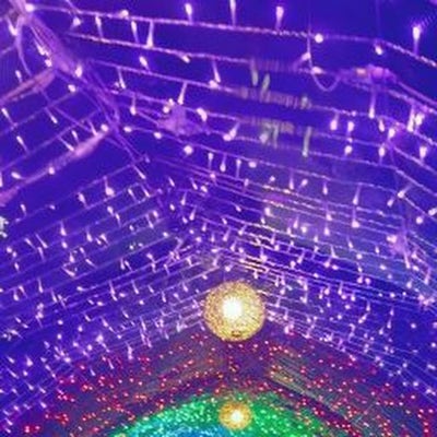 Room wanted in Oceanside, CA Main Photo