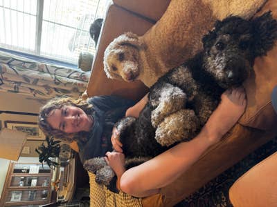 Room wanted in Hattiesburg ms Main Photo