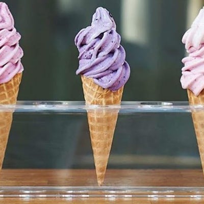 23 year old female looking for room in Pasadena Main Photo