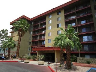 University and flamingo Main Photo