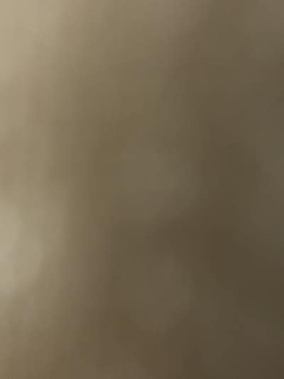 Room wanted in New York Main Photo