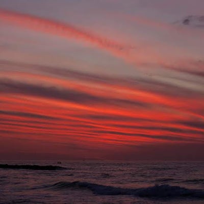 Room wanted in Concord, CA Main Photo