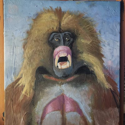 Room wanted in Houston, TX Main Photo