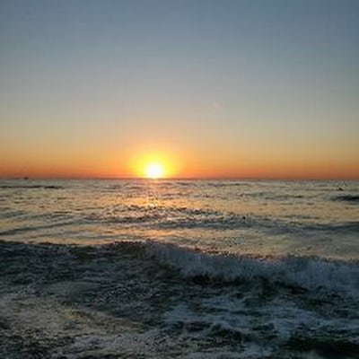 Room wanted in New York Main Photo