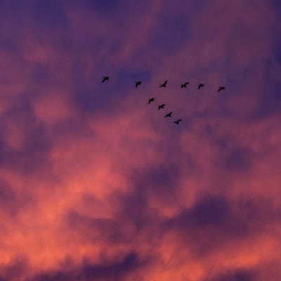 Student looking for Los Angeles room now Main Photo