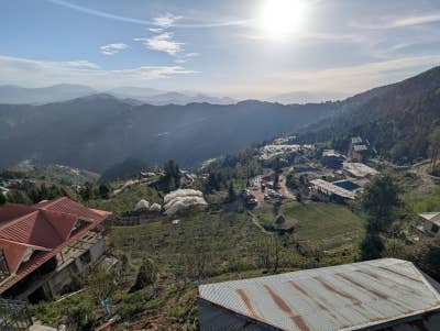 Room wanted in Brooklyn, NY Main Photo