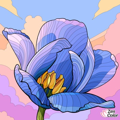 Room wanted in Clearwater, FL Main Photo