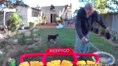 Your New Housemate  Main Photo