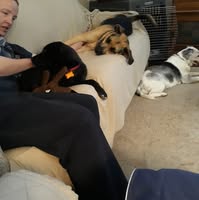 Professional Female seeks a small or large room Main Photo