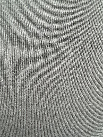 Room wanted in Tampa, FL Main Photo