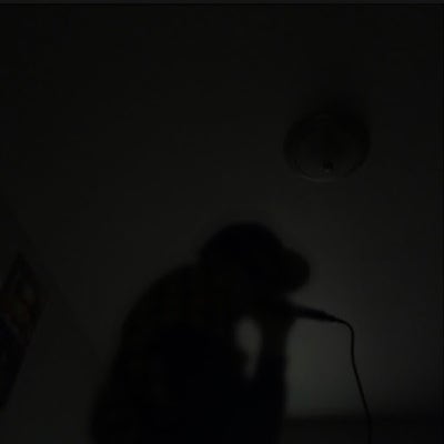 Room wanted in Los Angeles Main Photo