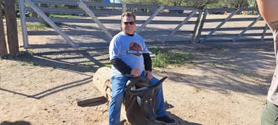 Room wanted in Phoenix, AZ Main Photo