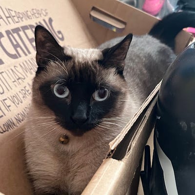 Room wanted in San Diego Main Photo