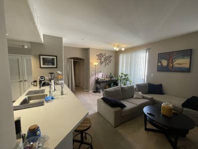 Roommate Needed - Avalon Pasadena - $1500+util Main Photo