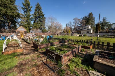 Backyard Oasis in SE PDX: Sauna, Garden, Gym  Main Photo