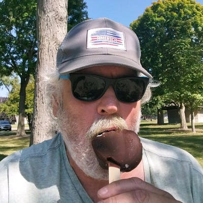 Room wanted in Roselle, DuPage County, IL Main Photo