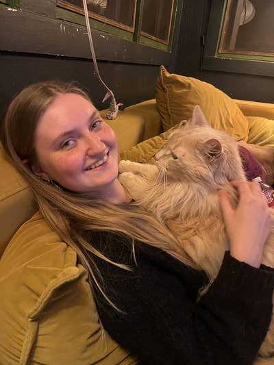 Room wanted in NYC Main Photo