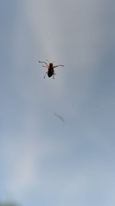 Room wanted in San Diego County, CA Main Photo