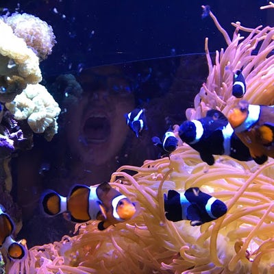 Student looking for North Hollywood room now Main Photo