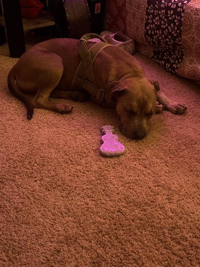 Room wanted in Chandler, AZ Main Photo