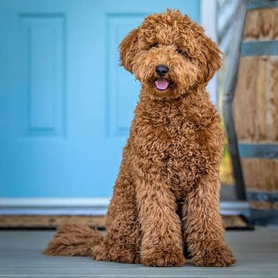 Room wanted in New Jersey Main Photo