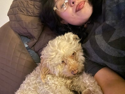 Female looking for a room in Long Beach area Main Photo