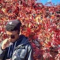 Room wanted in NYC Main Photo