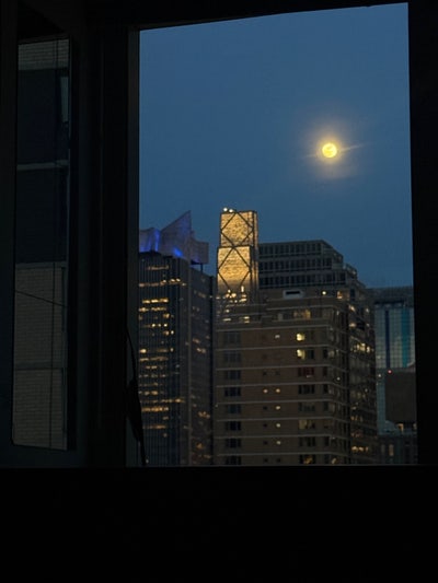 Room wanted in Manhattan, NY Main Photo