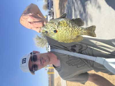 Room wanted in Surprise, AZ Main Photo